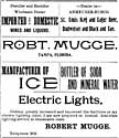 Mugge Businesses Ad 1901