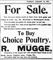 Farm Products Sale 1904