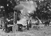 Grinding Sugar Cane  Boiling molasses 1912